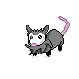 Opposum Pokemon Sprite