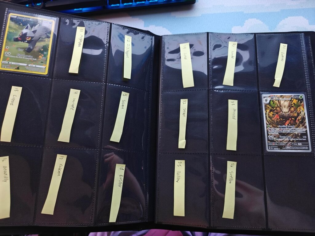 Putting together a Hoenn binder