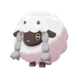 Drop your birthday pokemon 🤯