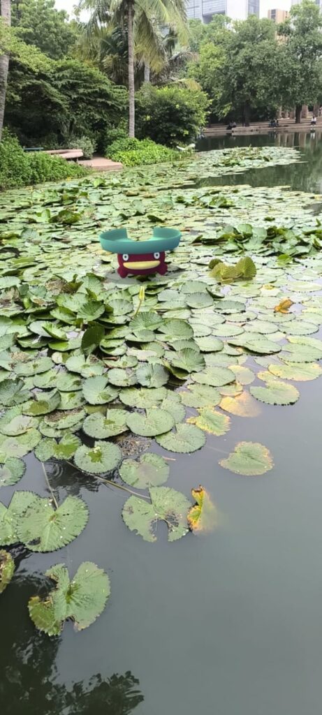 Lotad AR snapshot