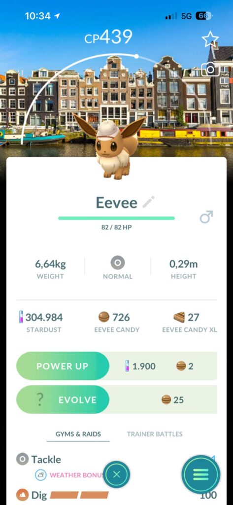 Amsterdam Eevee