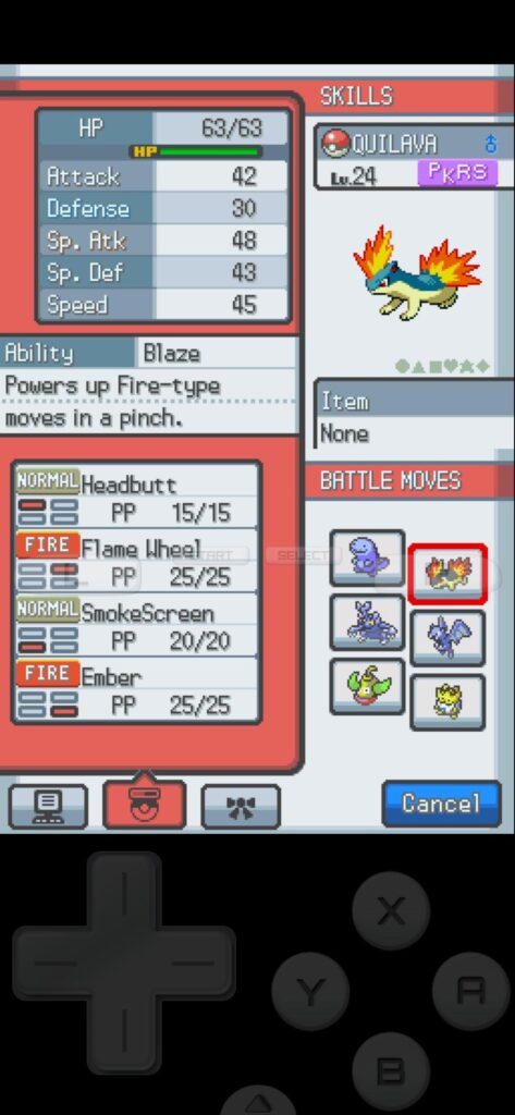 I dont know how I got PKRS, got told in pokemon center. What now? Its pokemon hearthgold
