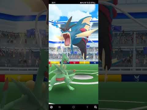 Mega Gyarados Solo In Sunny With L41 Mega Sceptile & Zacian Blade Boost