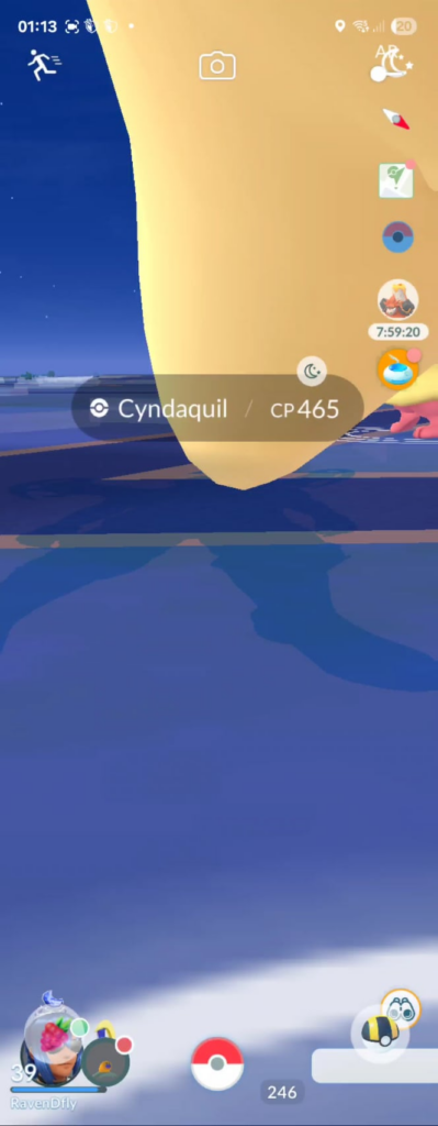Strange bug after Mega evolving and spam tapping the screen
