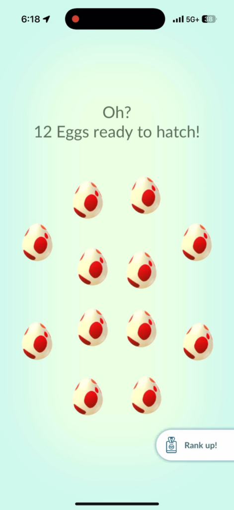 I finally did the egg thing. Major letdown