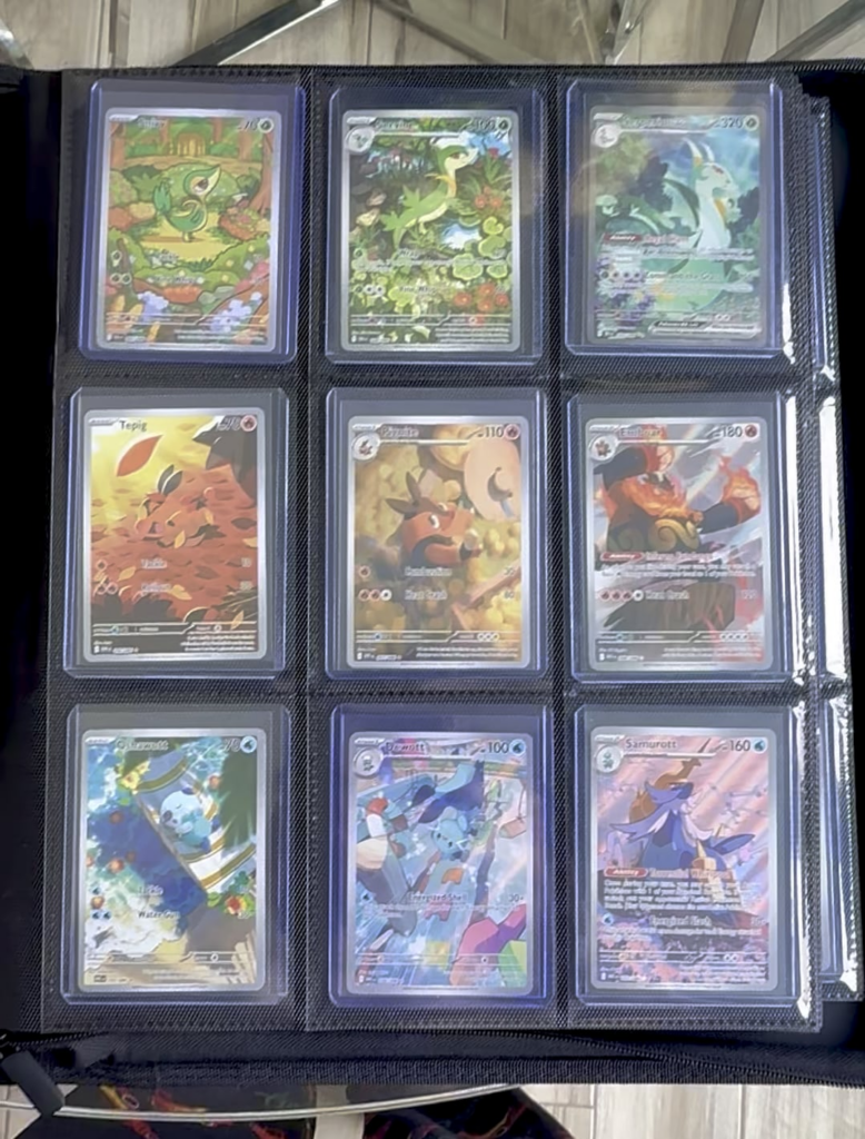 Unova Pokédex binder almost done