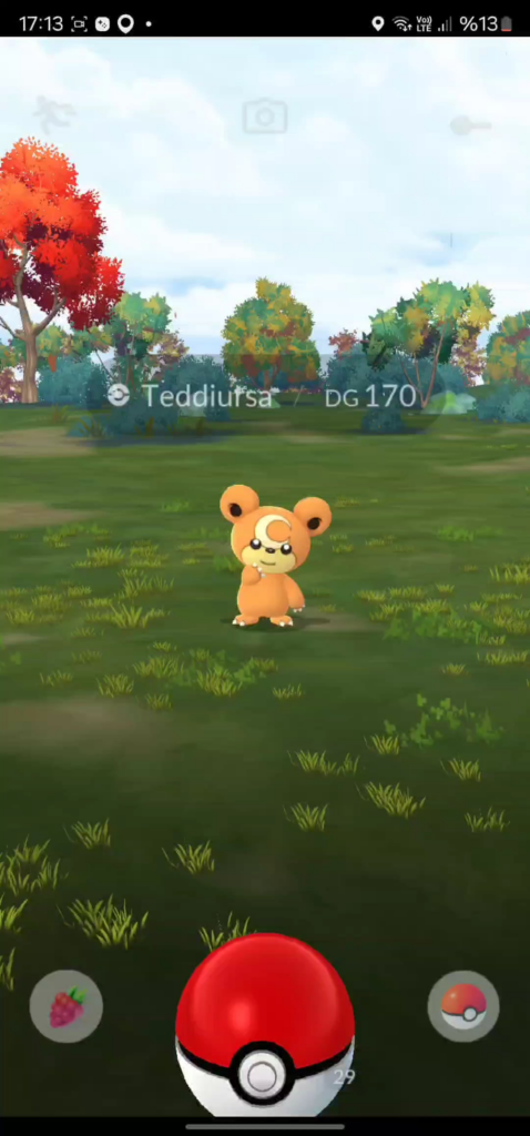 Weird pokemon bug