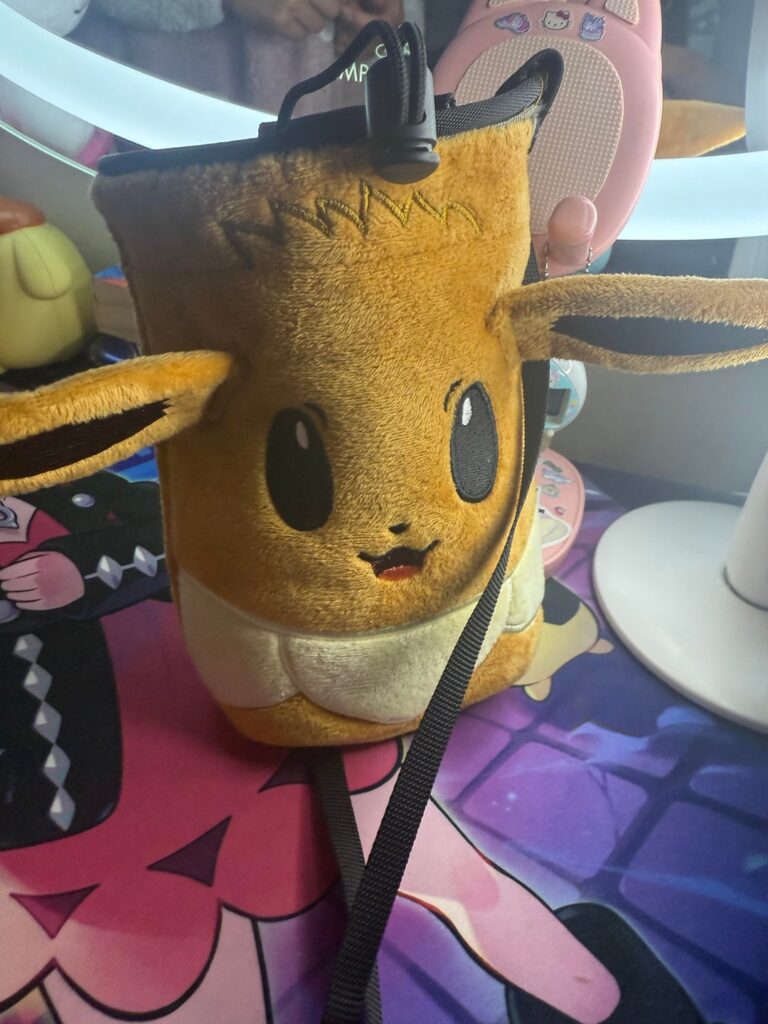 Found a use for my Eevee pouch