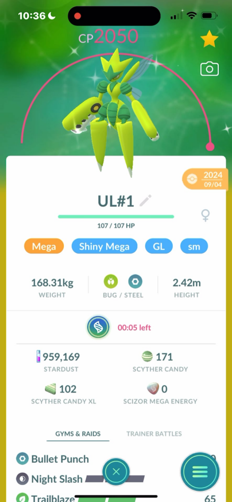 in case you wanted to know what happens when the mega timer runs out naturally