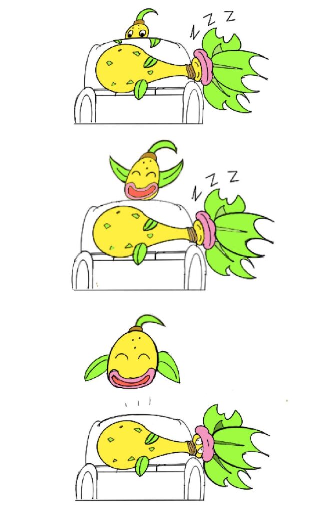 Pictures taken before a disaster.