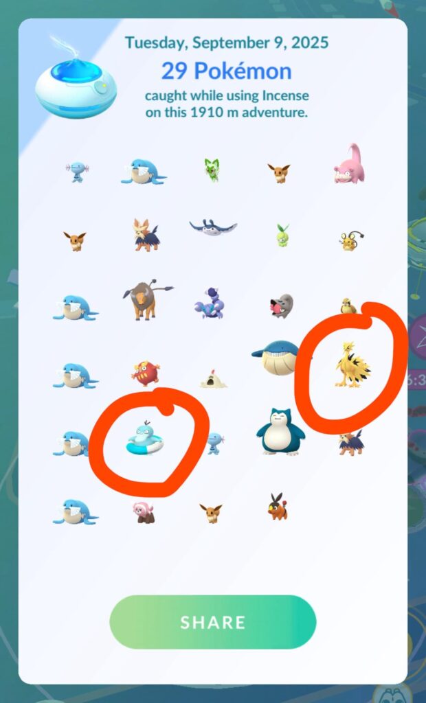 Finally Found a Shiny Birb!