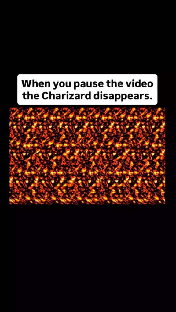 When you pause Charizard disappears