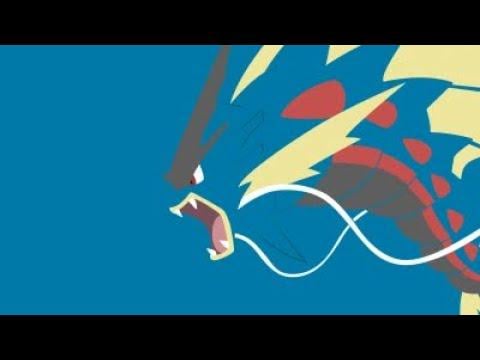 Mega Gyarados Solo (Waterfall/Hydro Pump) , Sun, w/ Mega Sceptile Recycling