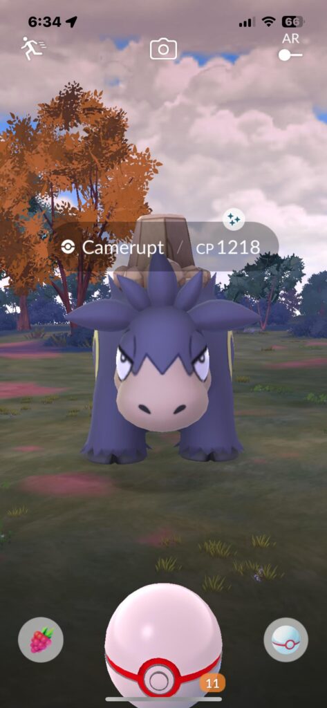 My first encounter