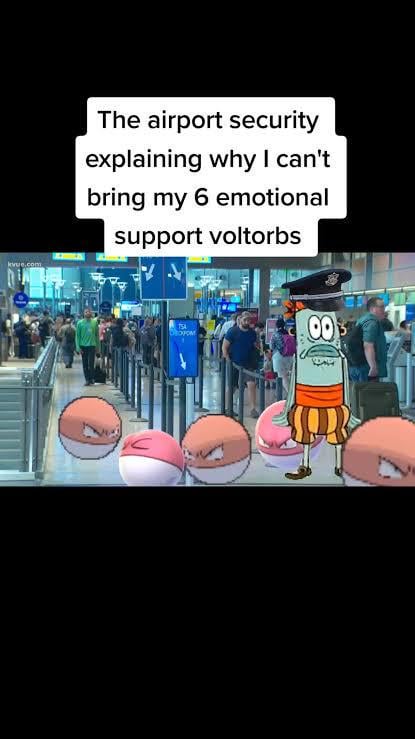What do yall think airport security looks like in pokémon land?