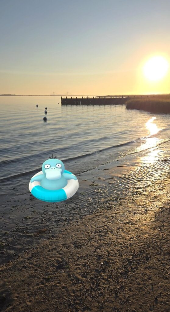 She wanted to go for a swim this morning