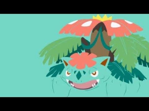 Mega Venusaur Solo (Vine Whip/Petal Blizzard) , Sun, with Mega Charizard Y and ShDarms
