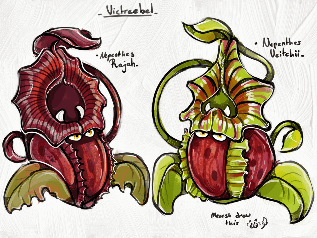 Victreebel variants v- N. Rajah & Veitchii