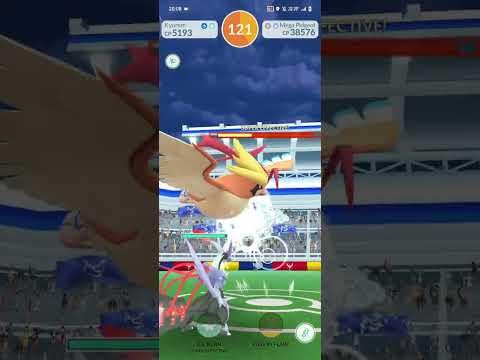 Pokémon Go Mega Pidgeot Raid Solo