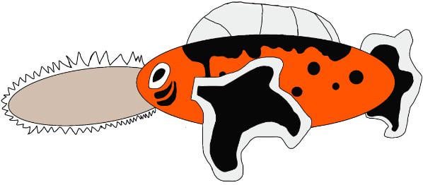 Mega seaking I made