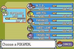 Anyone else have an all-female team?