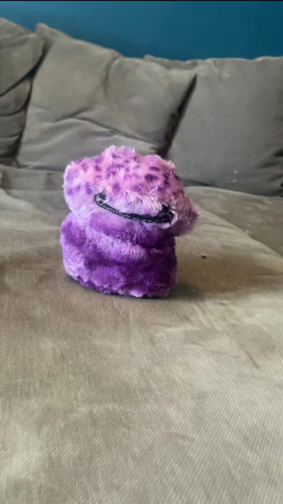 Ditto plushie I made for my little sister’s birthday!!