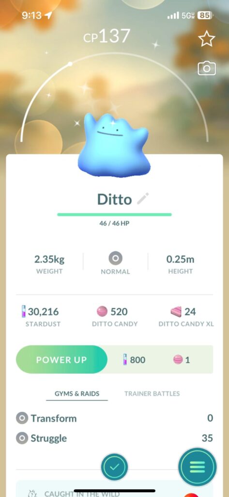 Shiny Ditto in the Wild