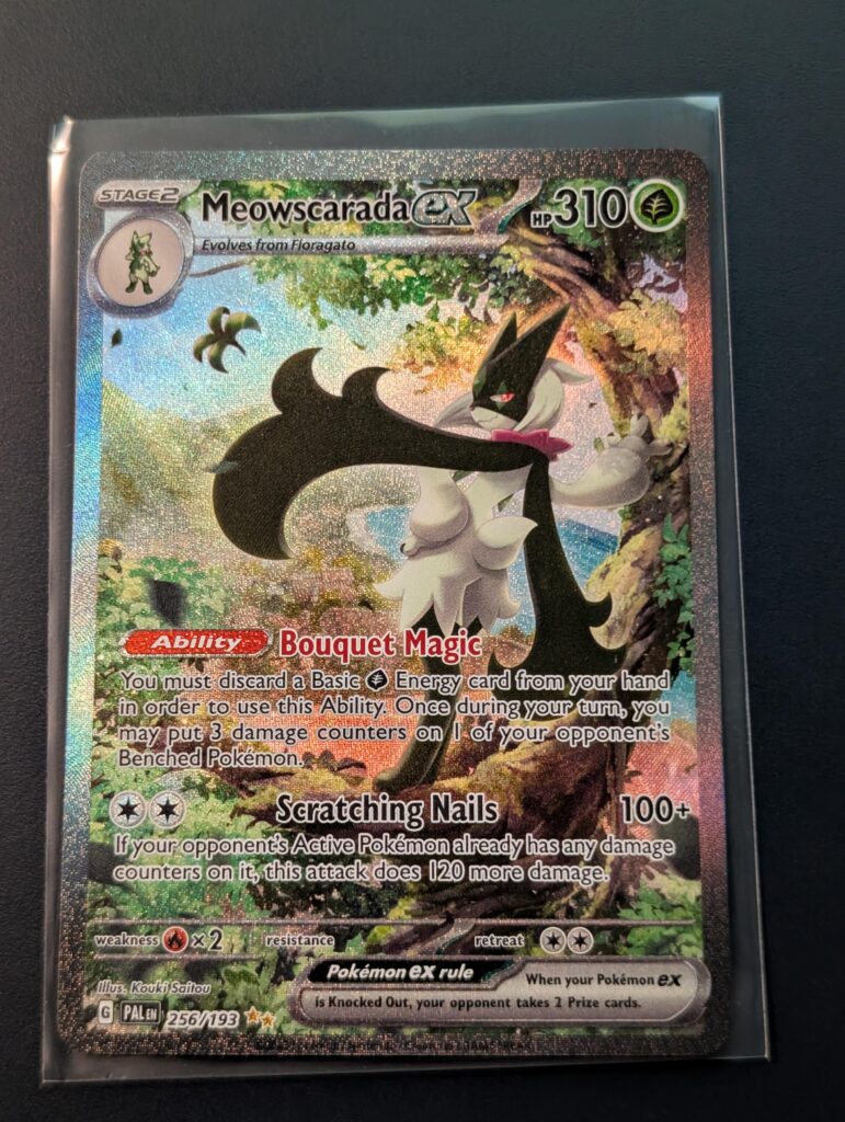What a beautiful card