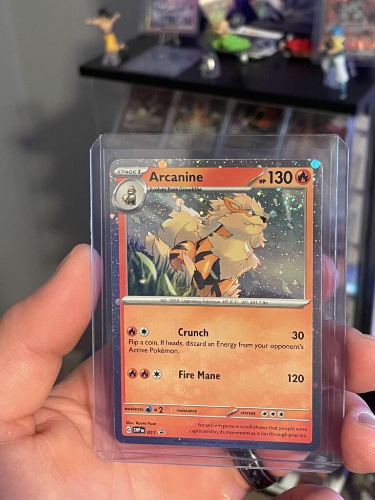 Arcanine Gazing at Swirl