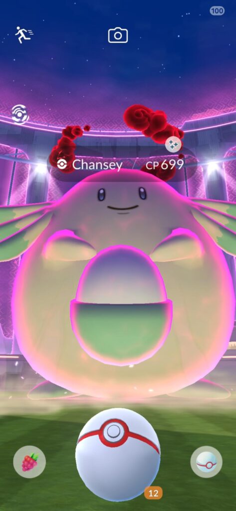 My Dynamax Raid Crashed the Game