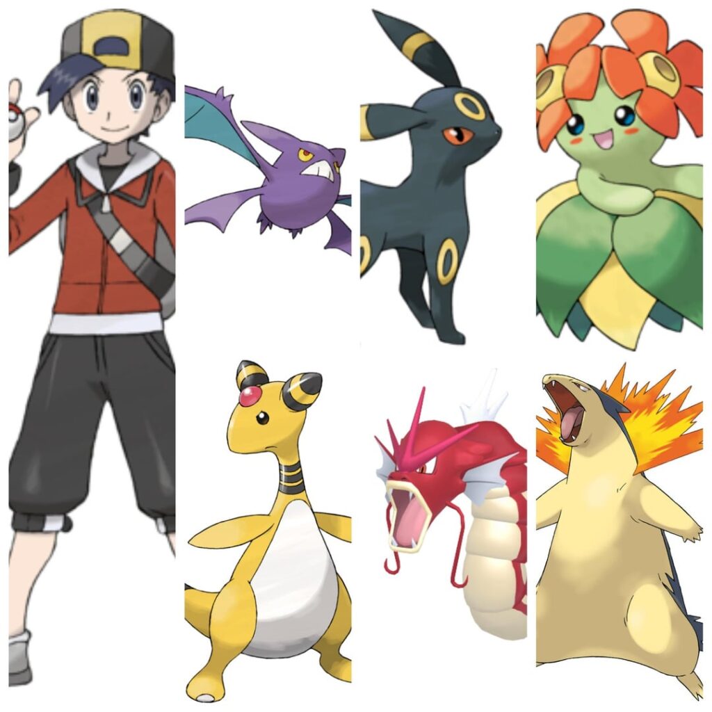Giving canon teams to all main series, male, non-kanto protagonists.