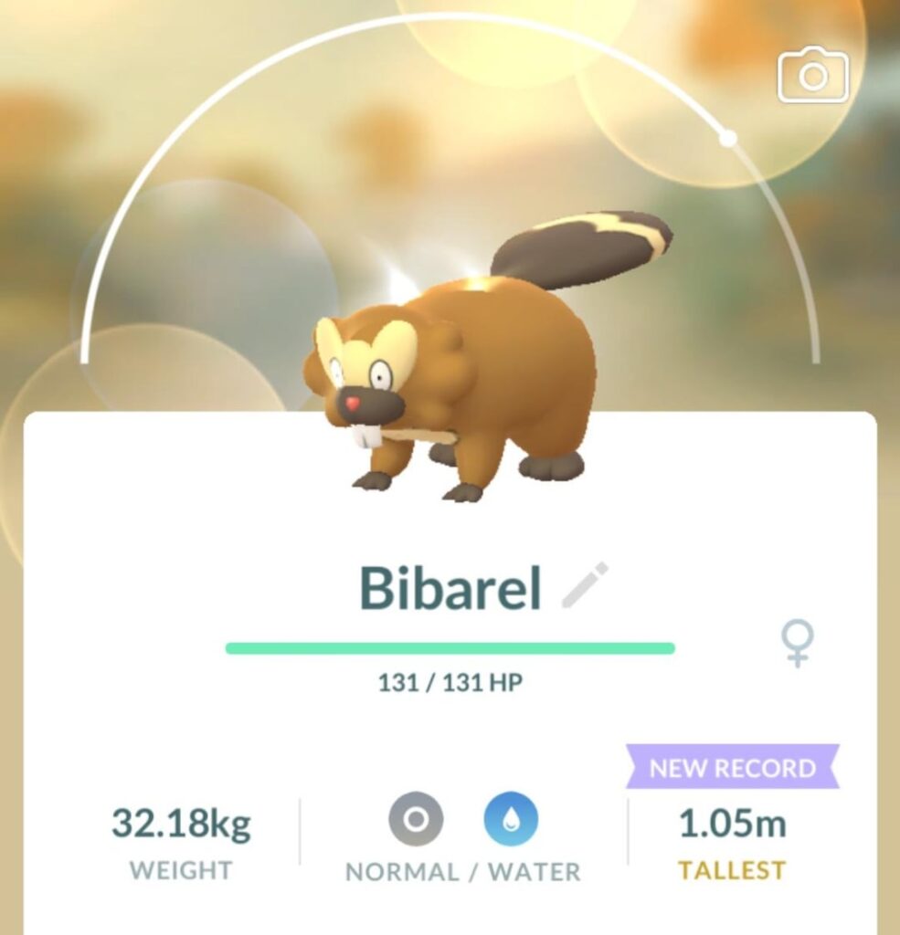 Anyone else think Bibarel could use a redesign?