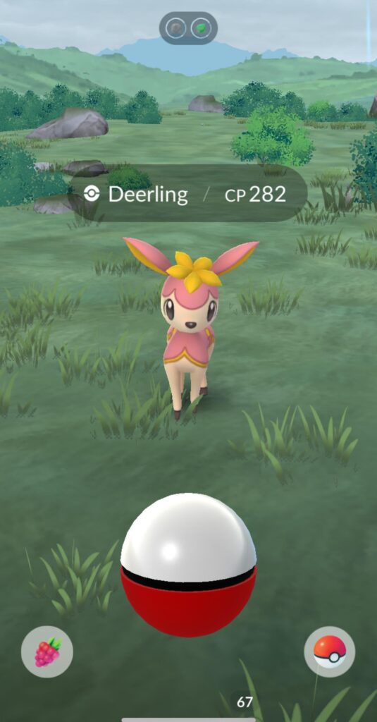 Spring Form Deerling (Northern Hemisphere)