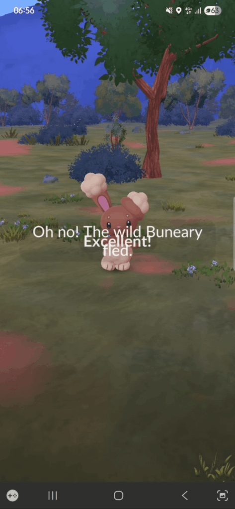 My daily incense effect activated twice at the same time, so it triggered a bug where you couldn't catch any pokemon as they instantly flee.