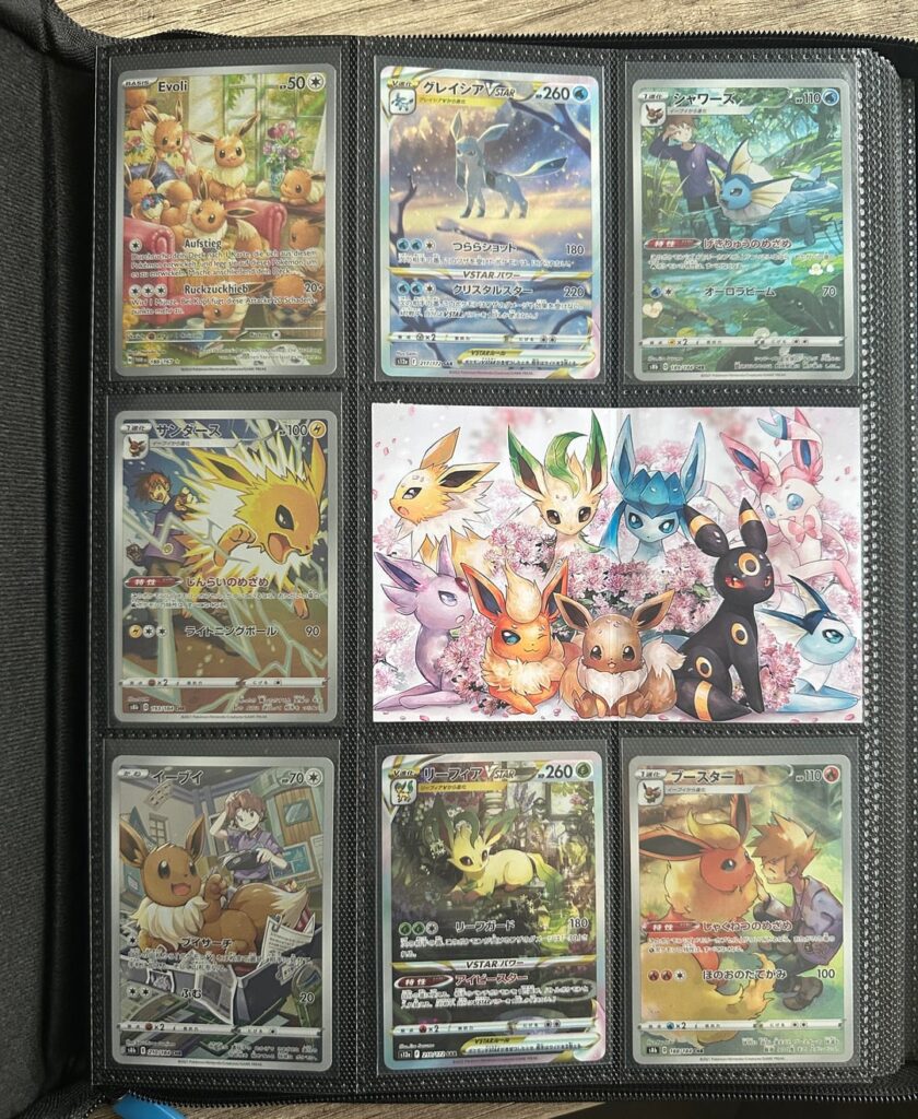 Update on my Binder, what do you guys think?