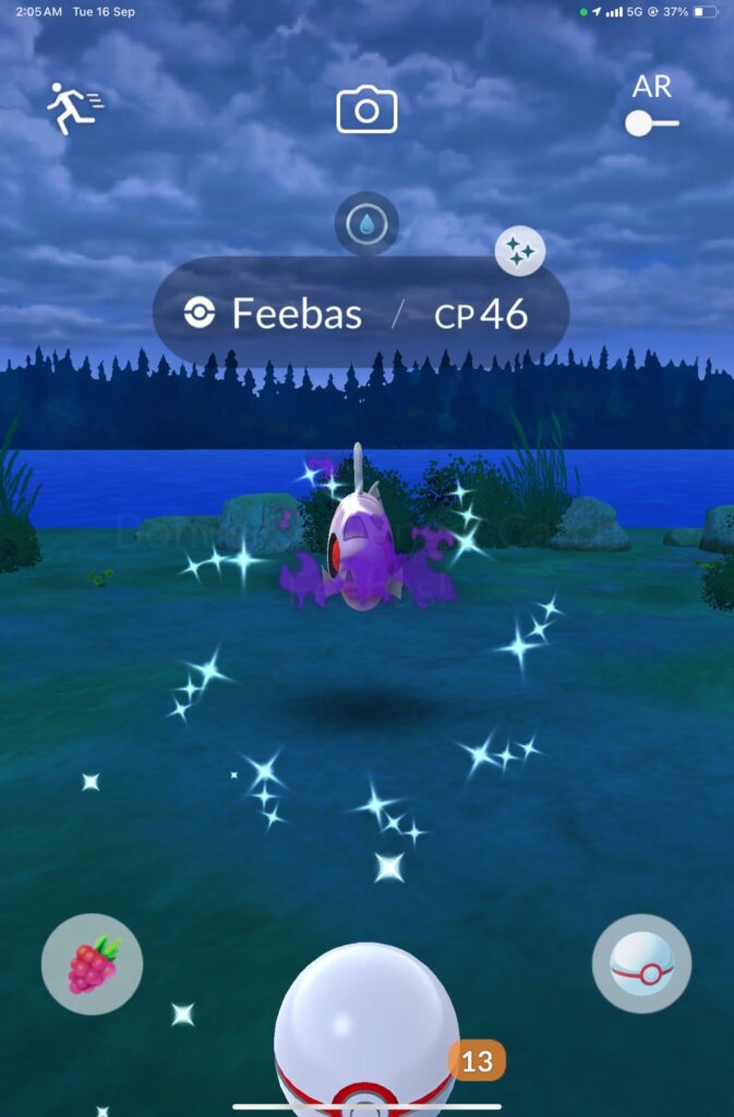 Shiny shadow Feebas is turned on (from BrandonTan91 on X)