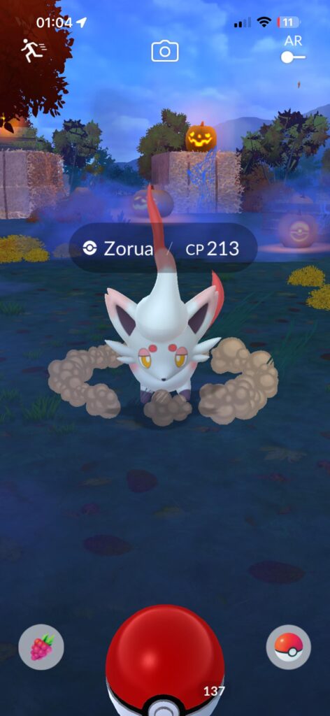 Is this some sort of visual glitch or can zorua appear without being transformed?