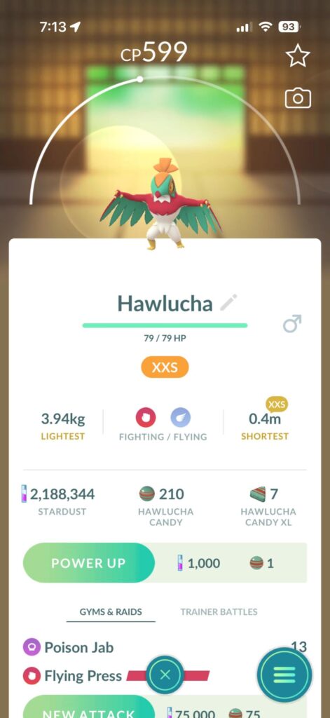 Does XXS pokemon matter?