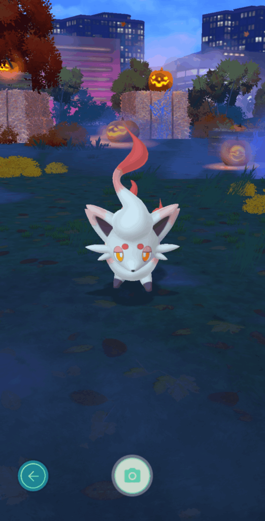 I caught an undisguised Zorua