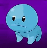 the YIPPEE mudkip