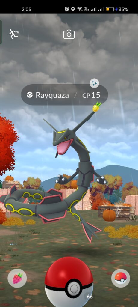 Finally caught a lvl1 shundo RayRay and mega evolved it😂😝