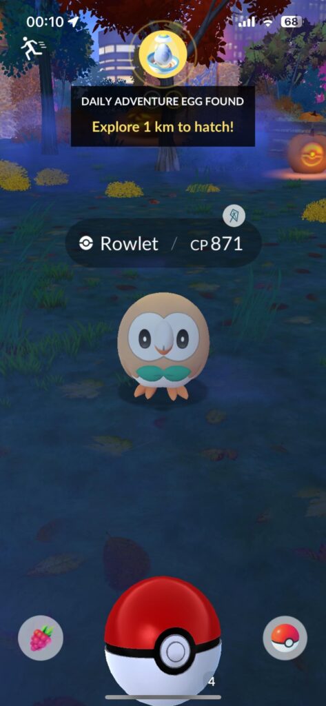 Hatless Rowlet :(