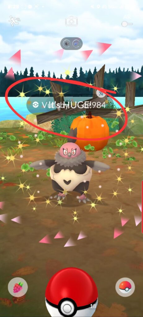 Is this a visual bug? I don't ever remember an overlap of text.