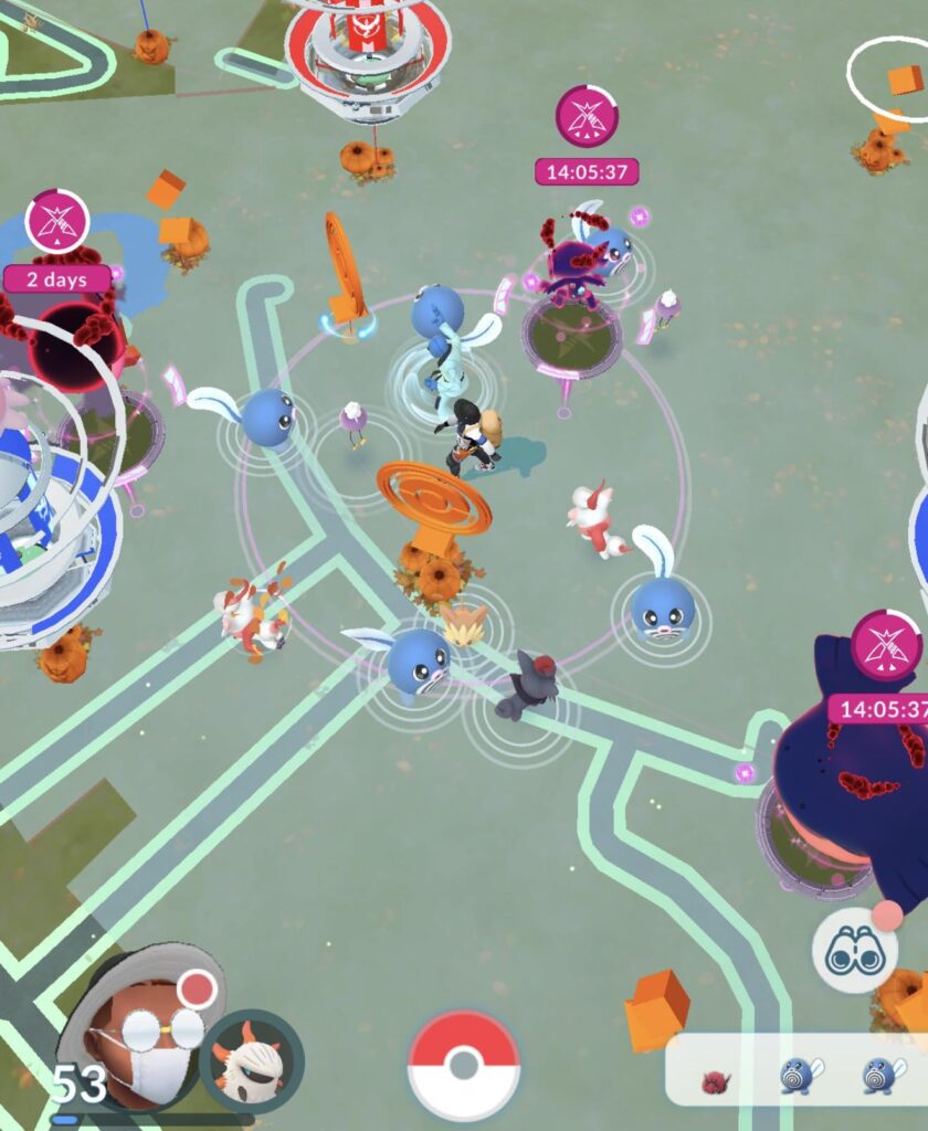 Zoruas are appearing as… Zoruas?