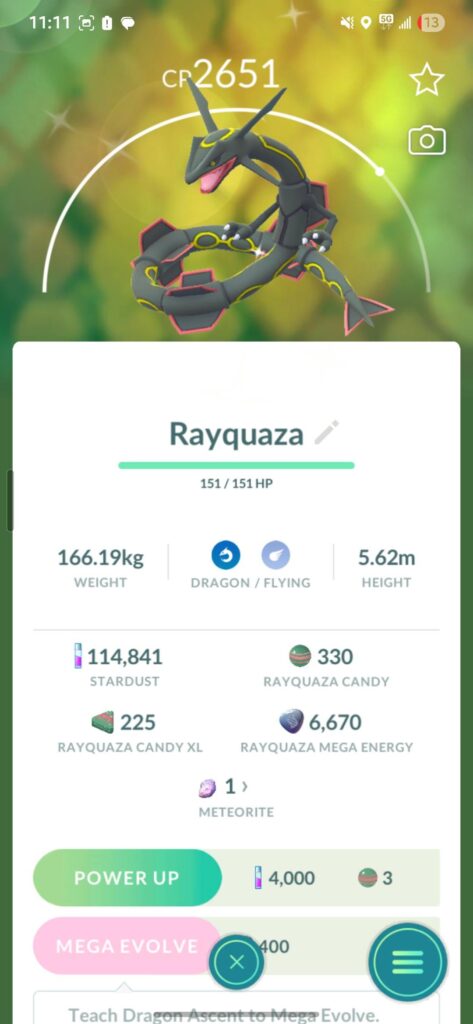 Cerco Rayquaza shiny