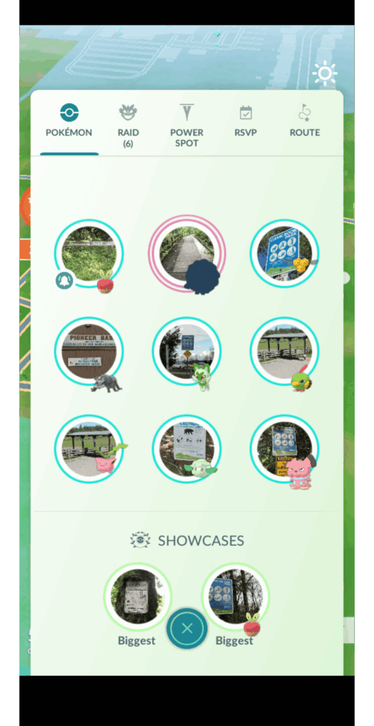 Wooloo Silhouette Bug