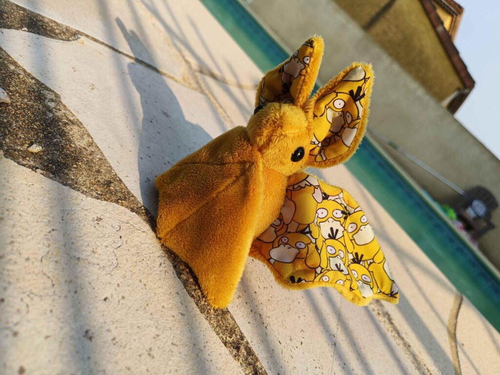 A Pokemon Bat !