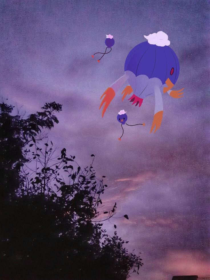 A Drifblim Sighting