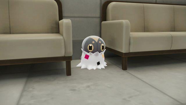 Do we know if he’s shiny locked?