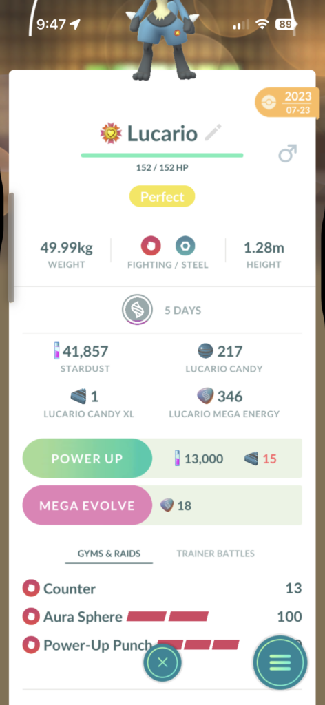 Best moveset for Lucario for Traine/PvP battles?
